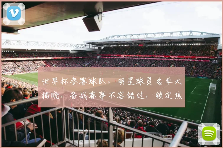 世界杯参赛球队，明星球员名单大揭晓，备战赛事不容错过，锁定焦点