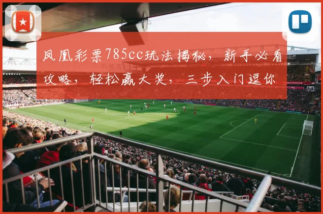 凤凰彩票785cc玩法揭秘，新手必看攻略，轻松赢大奖，三步入门逗你玩