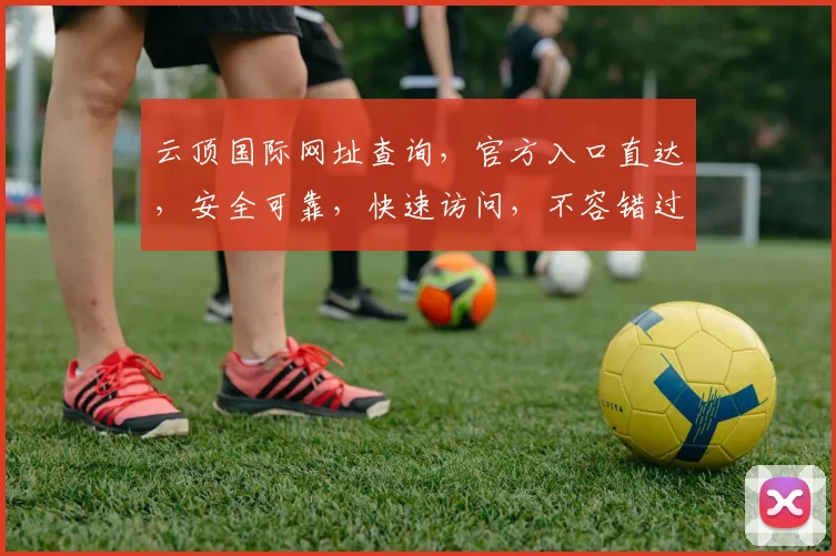 云顶国际网址查询，官方入口直达，安全可靠，快速访问，不容错过，两个网址任选