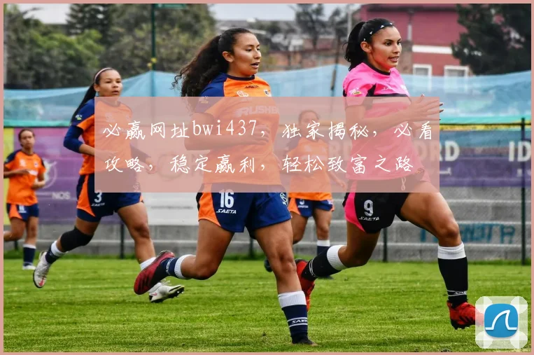必赢网址bwi437，独家揭秘，必看攻略，稳定赢利，轻松致富之路