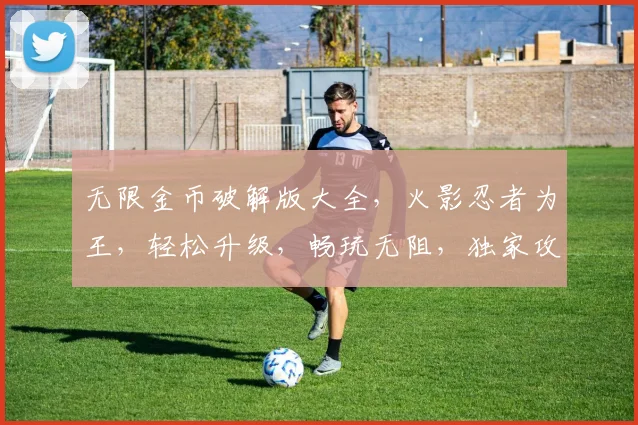 无限金币破解版大全，火影忍者为王，轻松升级，畅玩无阻，独家攻略，必看